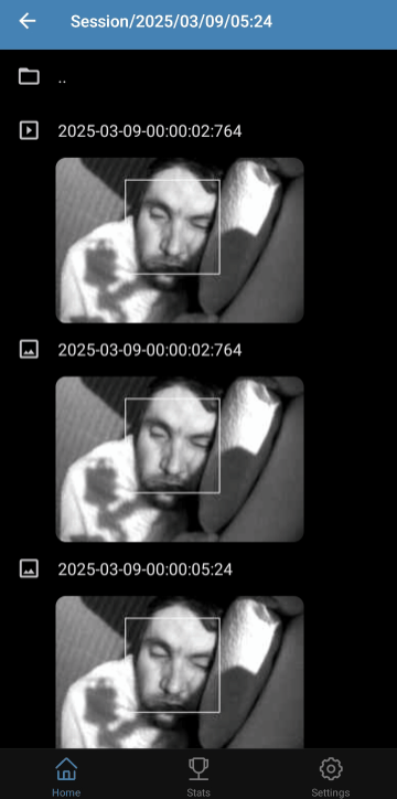 INSPEC REM Session Playback